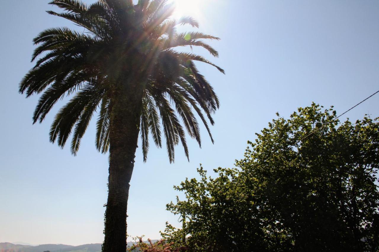 Casa La Palmera Gormazo Εξωτερικό φωτογραφία
